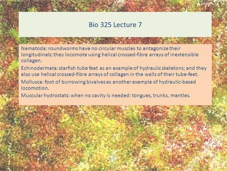 Bio 325 Lecture 7 Nematoda: roundworms have no circular muscles to antagonize their longitudinals; they locomote using helical crossed-fibre arrays of.