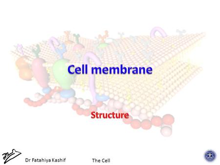 The Cell Dr Fatahiya Kashif. The Cell Dr Fatahiya Kashif.