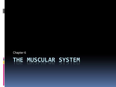 Chapter 6. Three Types of Muscle Tissue 1. Skeletal 2. Cardiac 3. Smooth.