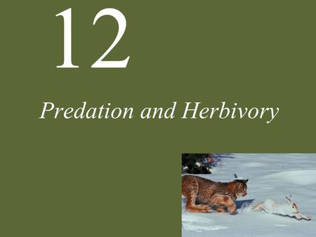 Predation and Herbivory