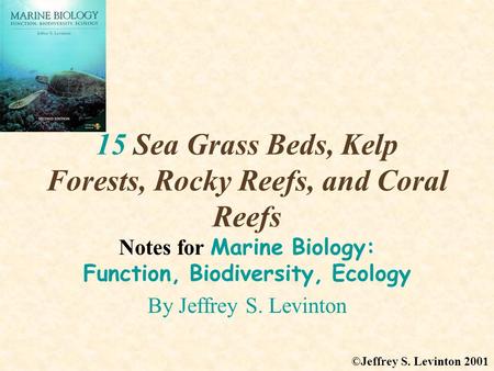 15 Sea Grass Beds, Kelp Forests, Rocky Reefs, and Coral Reefs