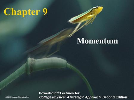 Chapter 9 Momentum.