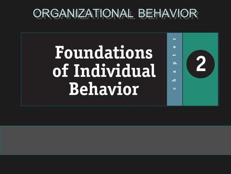 ORGANIZATIONAL BEHAVIOR