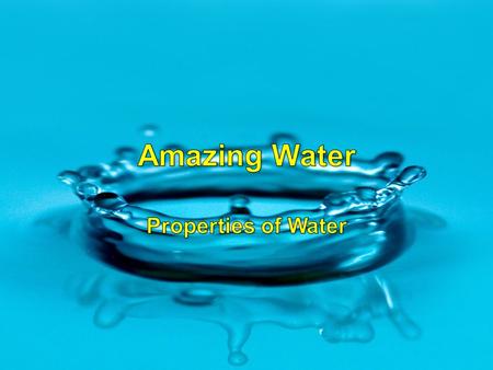 H H The opposite poles of the water molecule attract each other and stick together. Water molecules act like a “magnet” This property allows water.