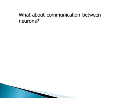 What about communication between neurons?.  presynaptic ending – ◦ portion of the axon conveying information to the next neuron.