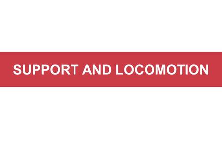 SUPPORT AND LOCOMOTION. ADAPTATIONS FOR LOCOMOTION Locomotion: Many types of living things are able to move on their own from one place to another. Being.