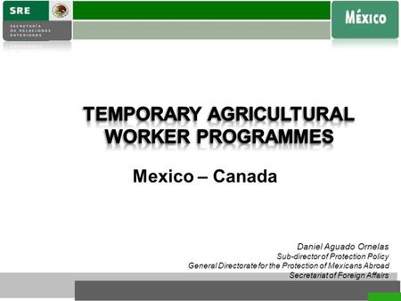 Daniel Aguado Ornelas Sub-director of Protection Policy General Directorate for the Protection of Mexicans Abroad Secretariat of Foreign Affairs Mexico.