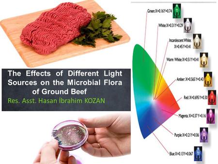 Yeni özelliklerde gezinti The Effects of Different Light Sources on the Microbial Flora of Ground Beef Res. Asst. Hasan İbrahim KOZAN.