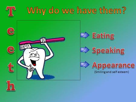 (Smiling and self esteem). The first teeth which are shed and replaced by permanent teeth. There are 20 primary teeth The primary teeth are replaced starting.