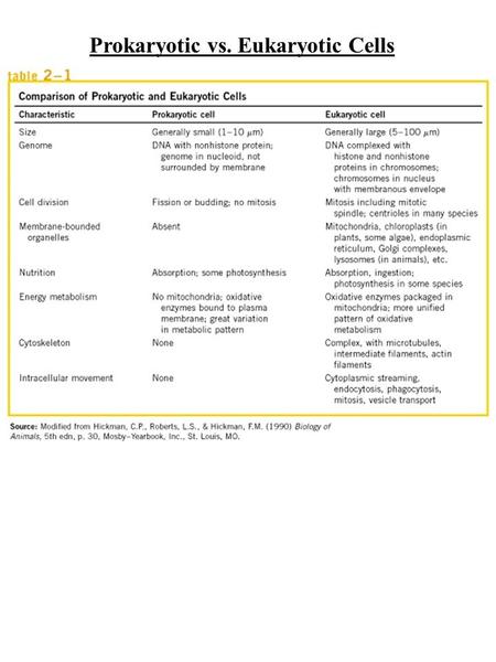 Prokaryotic vs. Eukaryotic Cells. Organelles PROKARYOTESEUKARYOTESCell (plasma) membrane Cell wall Cell wall (plant cells only)Cytoplasm Nucleus Rough.