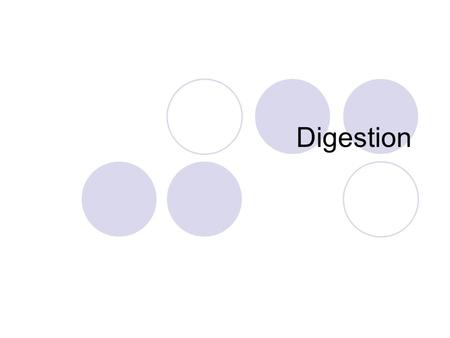 Digestion. Salivary glands secrete saliva, which contains an enzyme that breaks down starch Food is moistened to help chewing Mastication (chewing) –