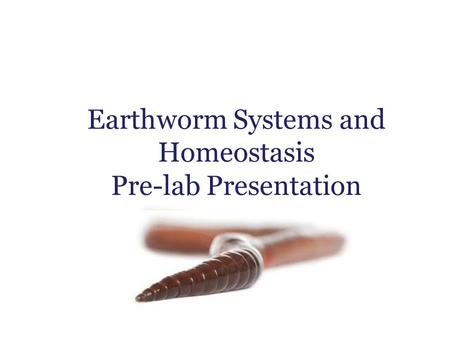 Earthworm Systems and Homeostasis