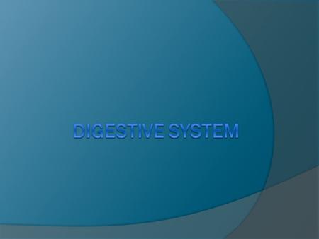 I. Digestive Systems  A. Digestion – Process by which the body breaks down food into smaller components.  B. Digestion System – Group of organs that.