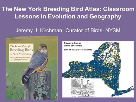 The New York Breeding Bird Atlas: Classroom Lessons in Evolution and Geography Jeremy J. Kirchman, Curator of Birds, NYSM.