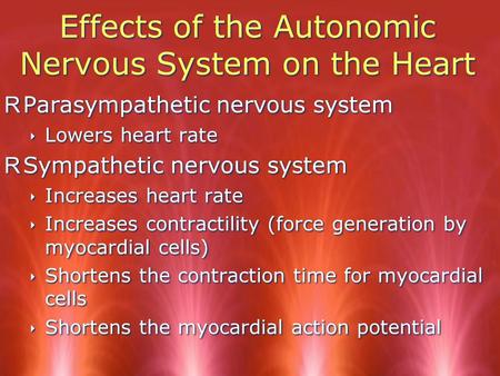 Effects of the Autonomic Nervous System on the Heart RParasympathetic nervous system ‣ Lowers heart rate RSympathetic nervous system ‣ Increases heart.