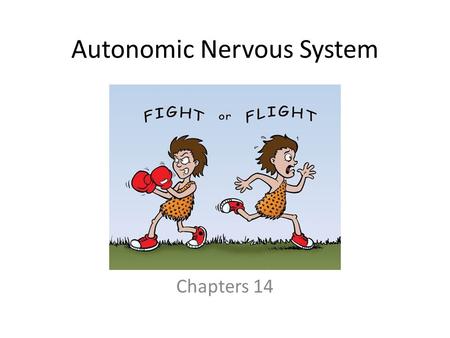 Autonomic Nervous System