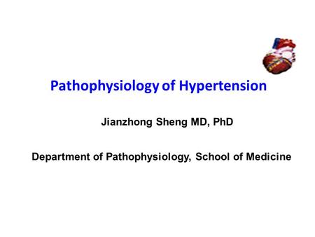 Pathophysiology of Hypertension Jianzhong Sheng MD, PhD Department of Pathophysiology, School of Medicine.