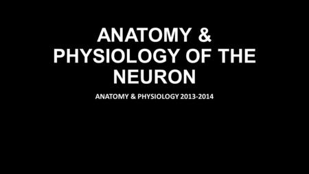 ANATOMY & PHYSIOLOGY OF THE NEURON