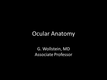 G. Wollstein, MD Associate Professor