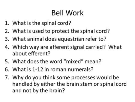 Bell Work 1.What is the spinal cord? 2.What is used to protect the spinal cord? 3.What animal does equestrian refer to? 4.Which way are afferent signal.