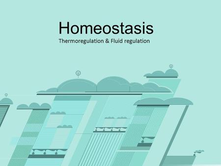 Homeostasis Thermoregulation & Fluid regulation. Thermoregulation.