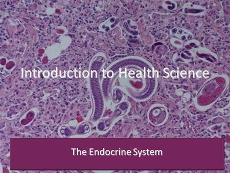 Introduction to Health Science