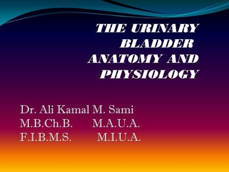 THE URINARY BLADDER ANATOMY AND PHYSIOLOGY Dr. Ali Kamal M. Sami M.B.Ch.B. M.A.U.A. F.I.B.M.S. M.I.U.A.