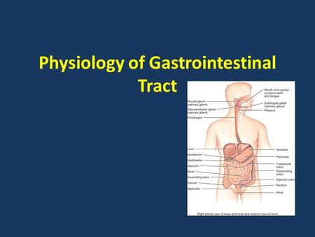 Physiology of Gastrointestinal Tract