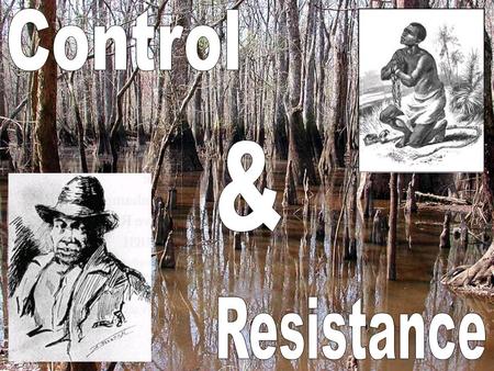 -The southern economy needed large amounts of cheap labor. -Cotton made slavery less of an option and more of a necessity. -Slaves worked and lived.