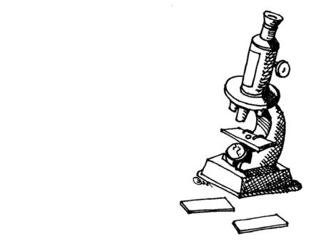 Day 2, August 23rd Day 1 Day Science Starters Sheet 1. Please have these Items on your desk. AR Book Science Starter: Vocabulary Words on the science.