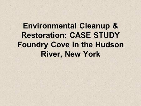 Environmental Cleanup & Restoration: CASE STUDY Foundry Cove in the Hudson River, New York.