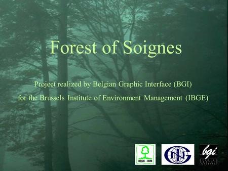 Forest of Soignes Project realized by Belgian Graphic Interface (BGI) for the Brussels Institute of Environment Management (IBGE)