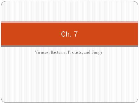 Viruses, Bacteria, Protists, and Fungi Ch. 7. Section 2: Bacteria The Bacterial Cell A Dutch merchant named Anton van Leeuwenhoek found bacteria in the.