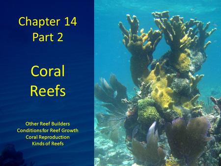 Chapter 14 Part 2 Coral Reefs Other Reef Builders Conditions for Reef Growth Coral Reproduction Kinds of Reefs.