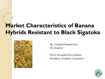 Market Characteristics of Banana Hybrids Resistant to Black Sigatoka By: Catalina Obando Salas Ms. Student. Ph.D Fernando Pérez Muñoz President, Graduate.