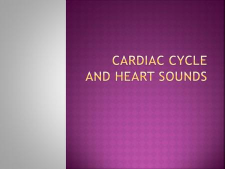  a.Sinoatrial node (SA node)  b.Atrioventricular node (AV node)  c.Atrioventricular bundle (AV bundle)  d.Right and left atrioventricular bundle.