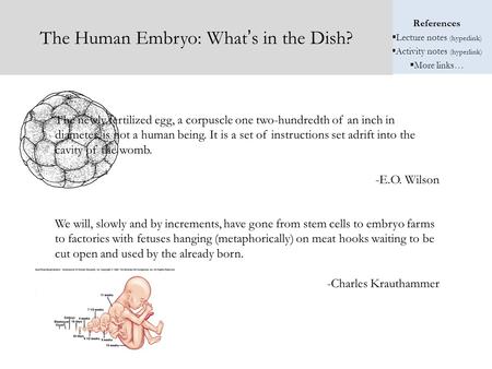 References  Lecture notes (hyperlink)  Activity notes (hyperlink)  More links… The Human Embryo: What’s in the Dish? The newly fertilized egg, a corpuscle.