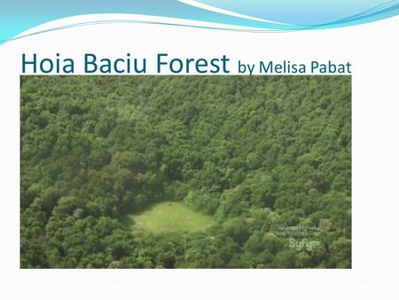 Hoia Baciu Forest by Melisa Pabat. The Hoia-Baciu Forest ( World’s Most Haunted Forest ) is situated near Cluj-Napoca, Romania covers an area of ​​ over.