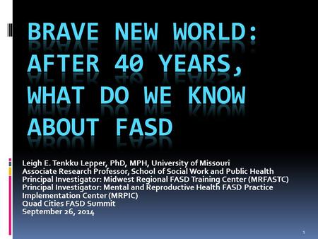 1 Leigh E. Tenkku Lepper, PhD, MPH, University of Missouri Associate Research Professor, School of Social Work and Public Health Principal Investigator: