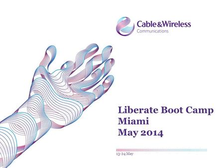 Liberate Boot Camp Miami May 2014 13-24 May. Customer Management L IBERATE 2Liberate Boot Camp| 14-23 May.