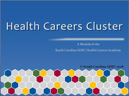 © South Carolina AHEC 2008. S OUTH C AROLINA AHEC WWW. SCAHEC. NET.