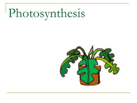 Photosynthesis.