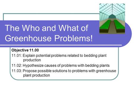 The Who and What of Greenhouse Problems! Objective 11.00 11.01: Explain potential problems related to bedding plant production 11.02: Hypothesize causes.