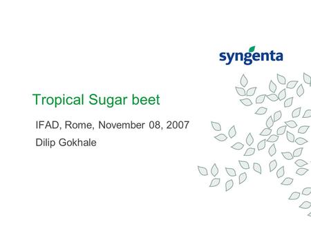 Tropical Sugar beet IFAD, Rome, November 08, 2007 Dilip Gokhale.