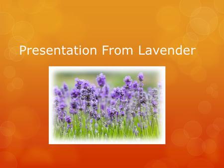 Presentation From Lavender