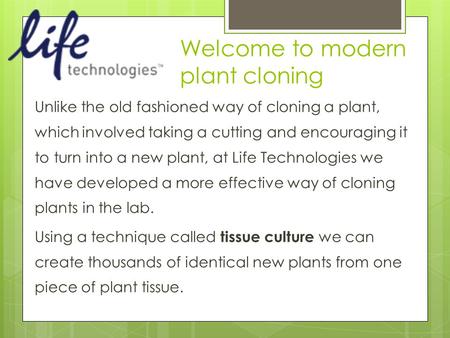 Welcome to modern plant cloning Unlike the old fashioned way of cloning a plant, which involved taking a cutting and encouraging it to turn into a new.