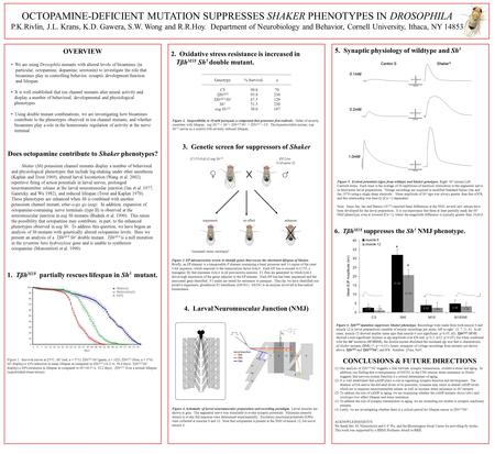 OCTOPAMINE-DEFICIENT MUTATION SUPPRESSES SHAKER PHENOTYPES IN DROSOPHILA P.K.Rivlin, J.L. Krans, K.D. Gawera, S.W. Wong and R.R.Hoy. Department of Neurobiology.