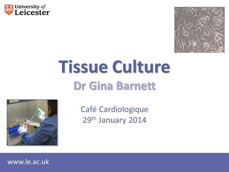 Www.le.ac.uk Tissue Culture Dr Gina Barnett Café Cardiologique 29 th January 2014.