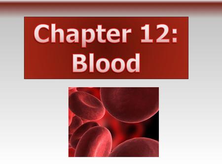  Roughly 5 liters per person  Blood is heavier than water (components are made primarily of water with other biochemicals added in!)  Varies with: