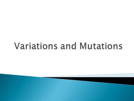 At the end of this lesson you should be able to 1. Identify two causes of variation 2. Identify the characteristics of mutant alleles 3. Identify two.